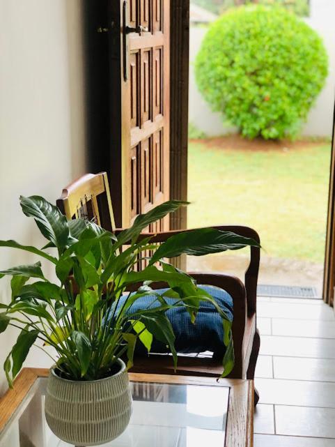 Danville Forest Guest House & Apartments Durban Exterior foto